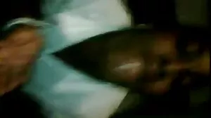 அமெச்சூர் யங் டிட்ஸ்