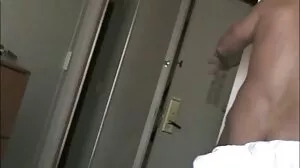 டர்ட்டிலிலி ஹார்ட் காக்