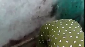 ஃப்ரீபோர்ன் பூ
