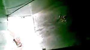 அமெச்சூர் ஆண் கழுதை